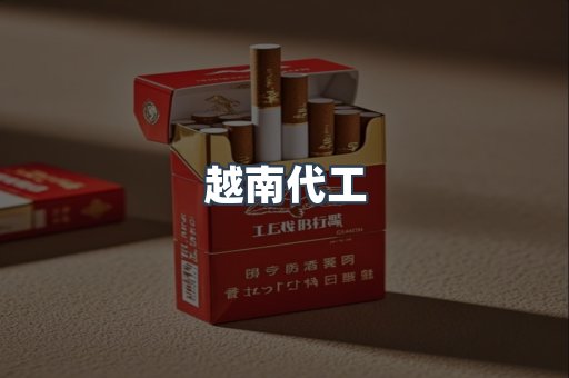 越南代工